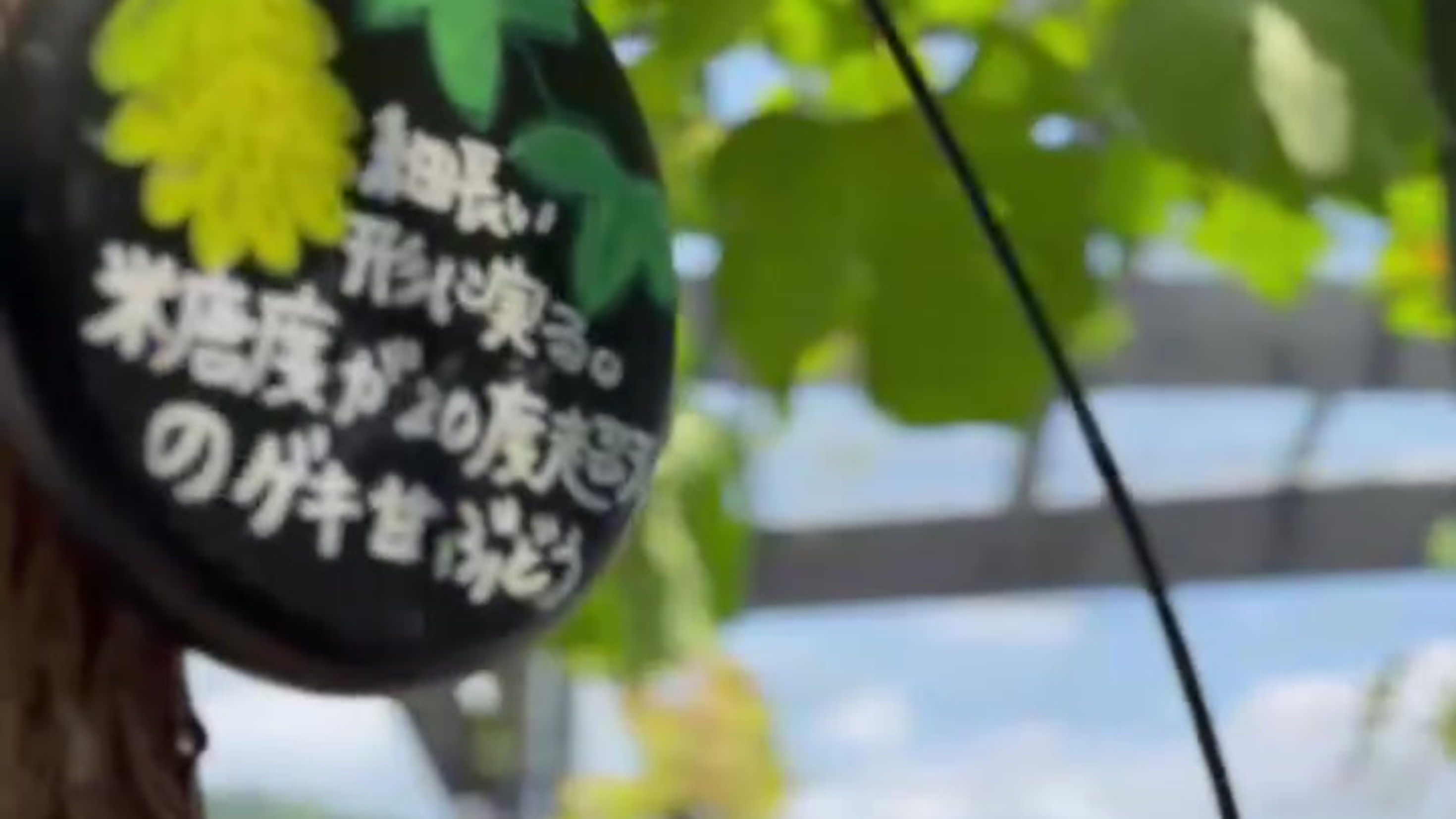 過保護フルーツパーラー　2025年7月